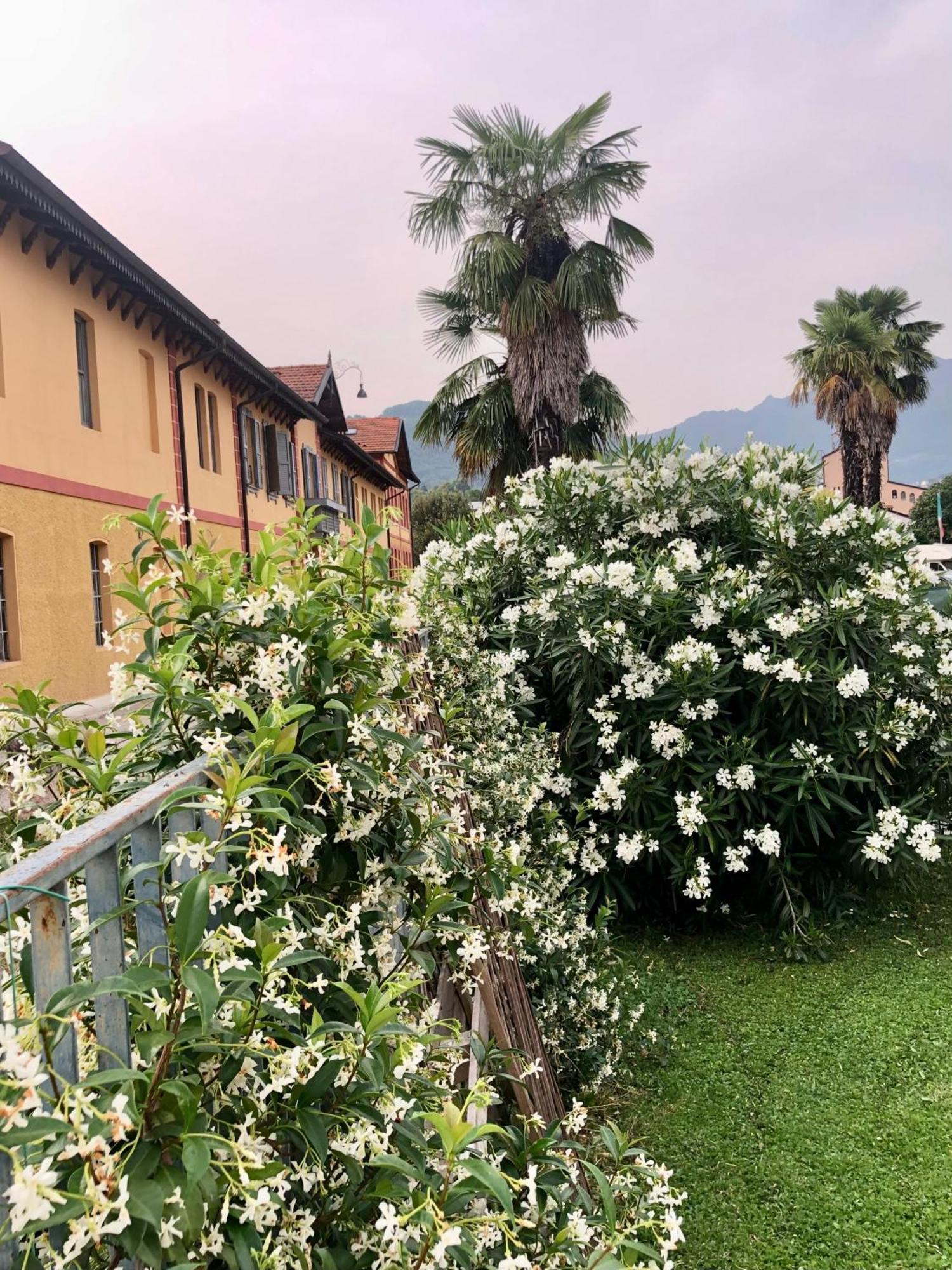 Roggia Maestra B&B Schio Exteriér fotografie